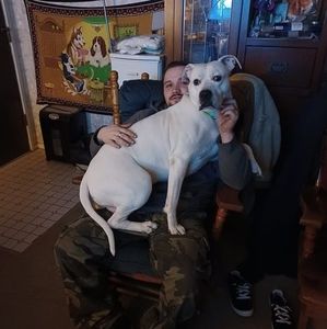 Meet your Posher, Thomas